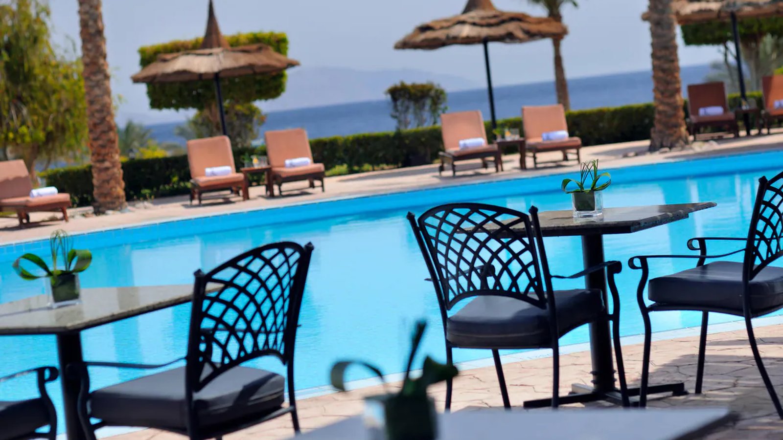 Renaissance Sharm El Sheikh Golden View Beach Reso