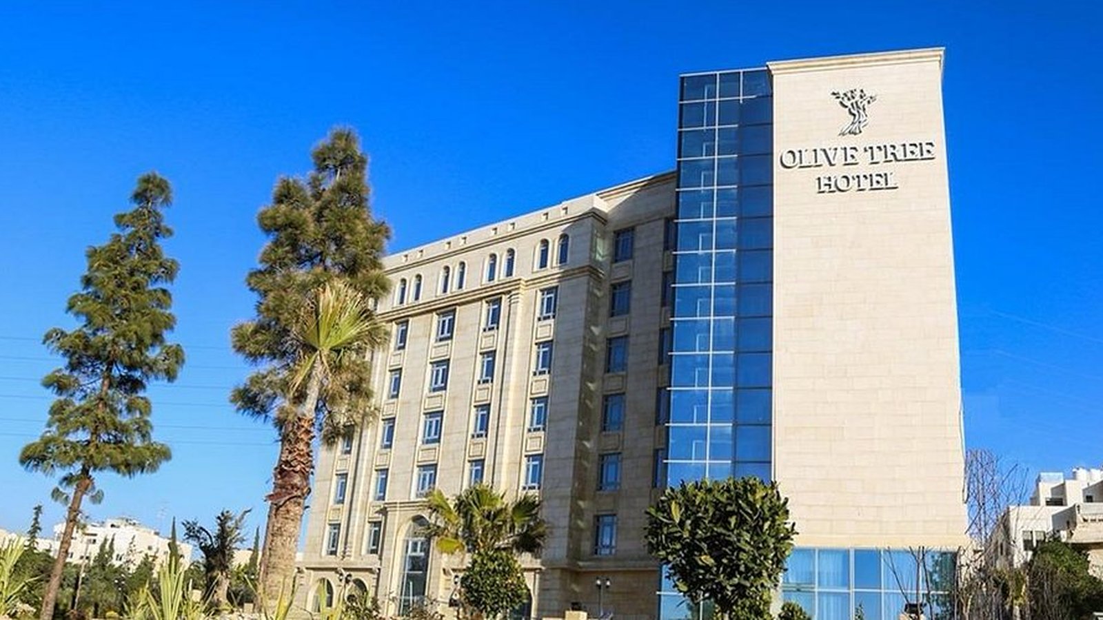 Olive Tree hotel